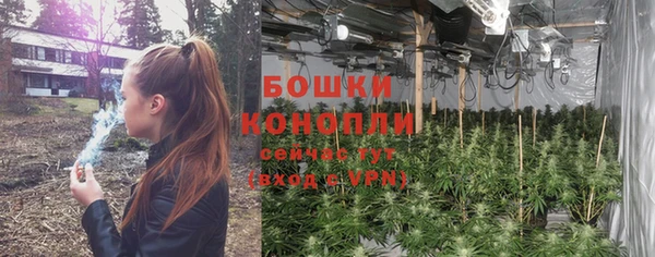 бутират Баксан