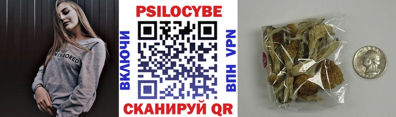 Галлюциногенные грибы Psilocybe  Кондрово 