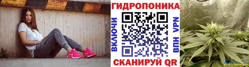 OMG tor  Кондрово  Конопля индика 